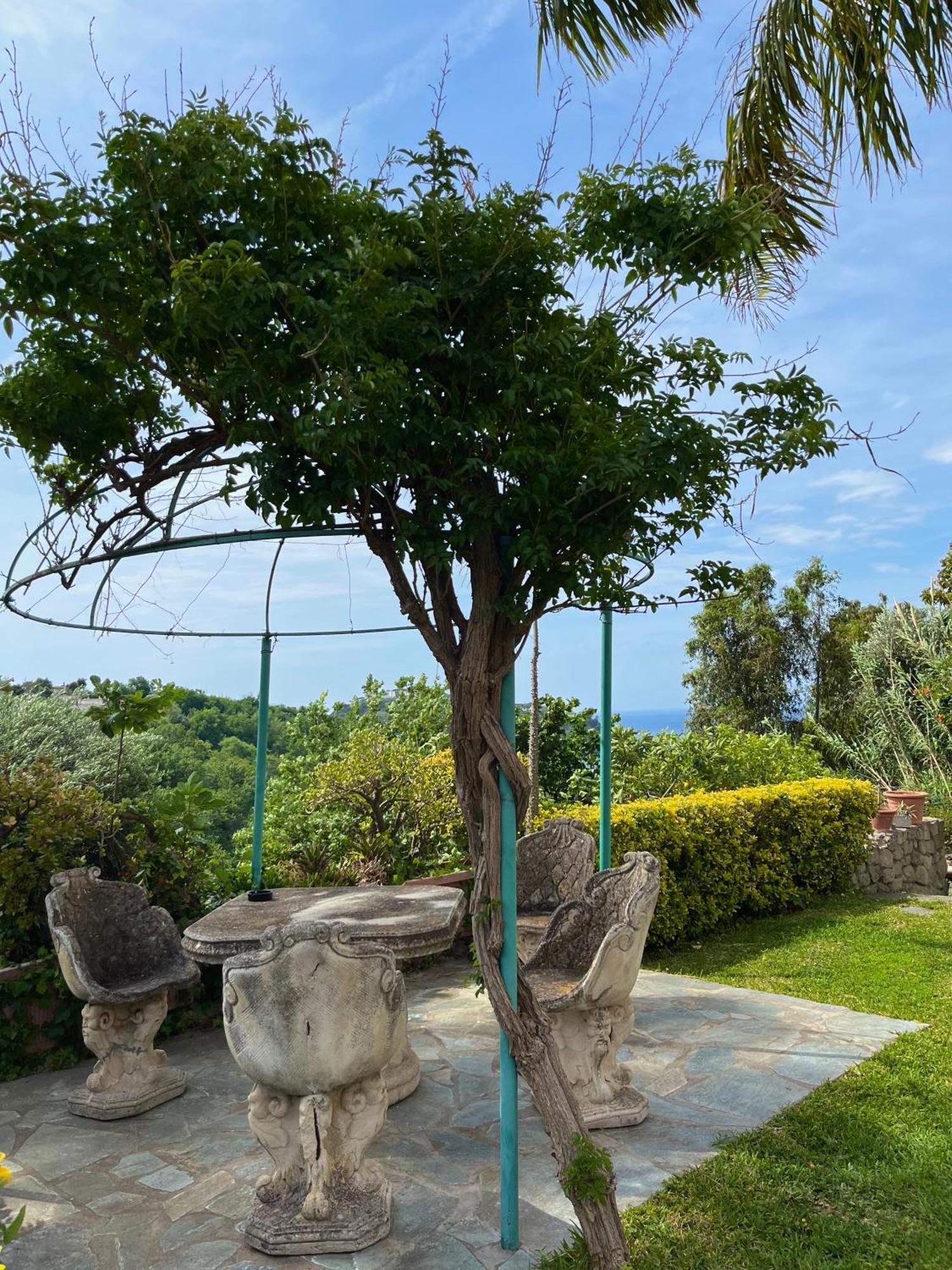Resort Villa Flavio Casamicciola Terme Bagian luar foto