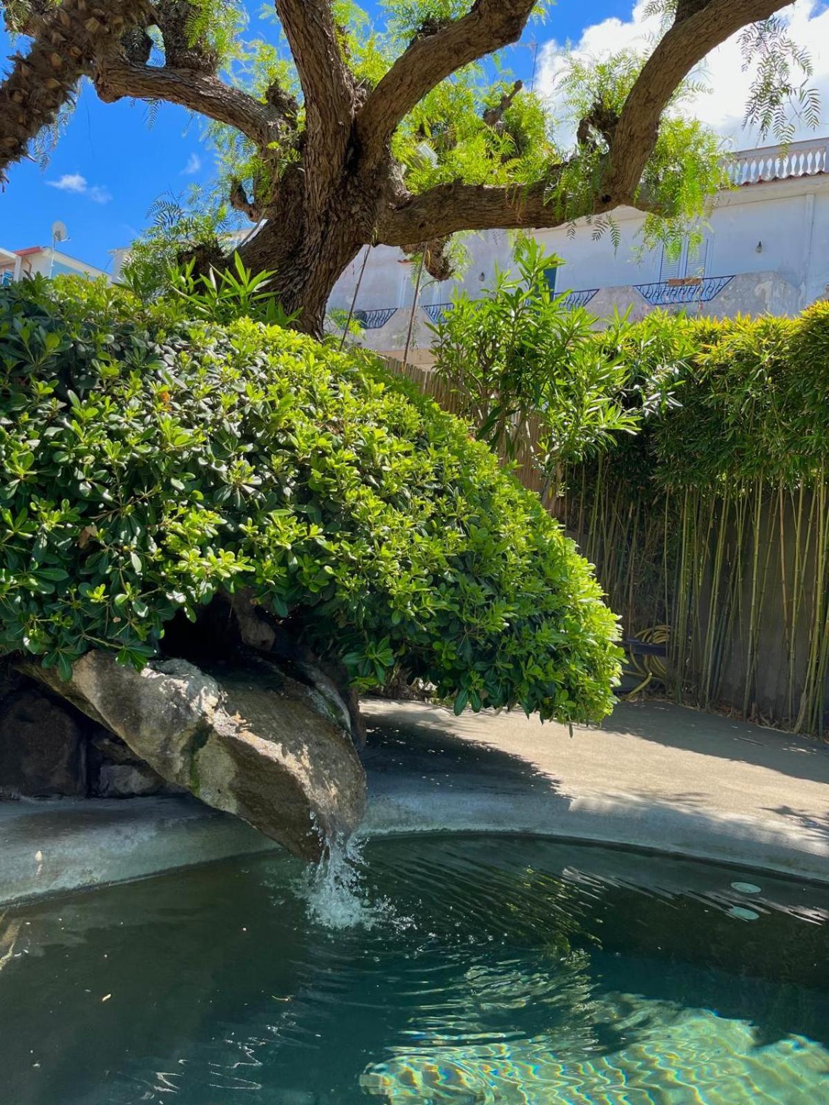 Resort Villa Flavio Casamicciola Terme Bagian luar foto