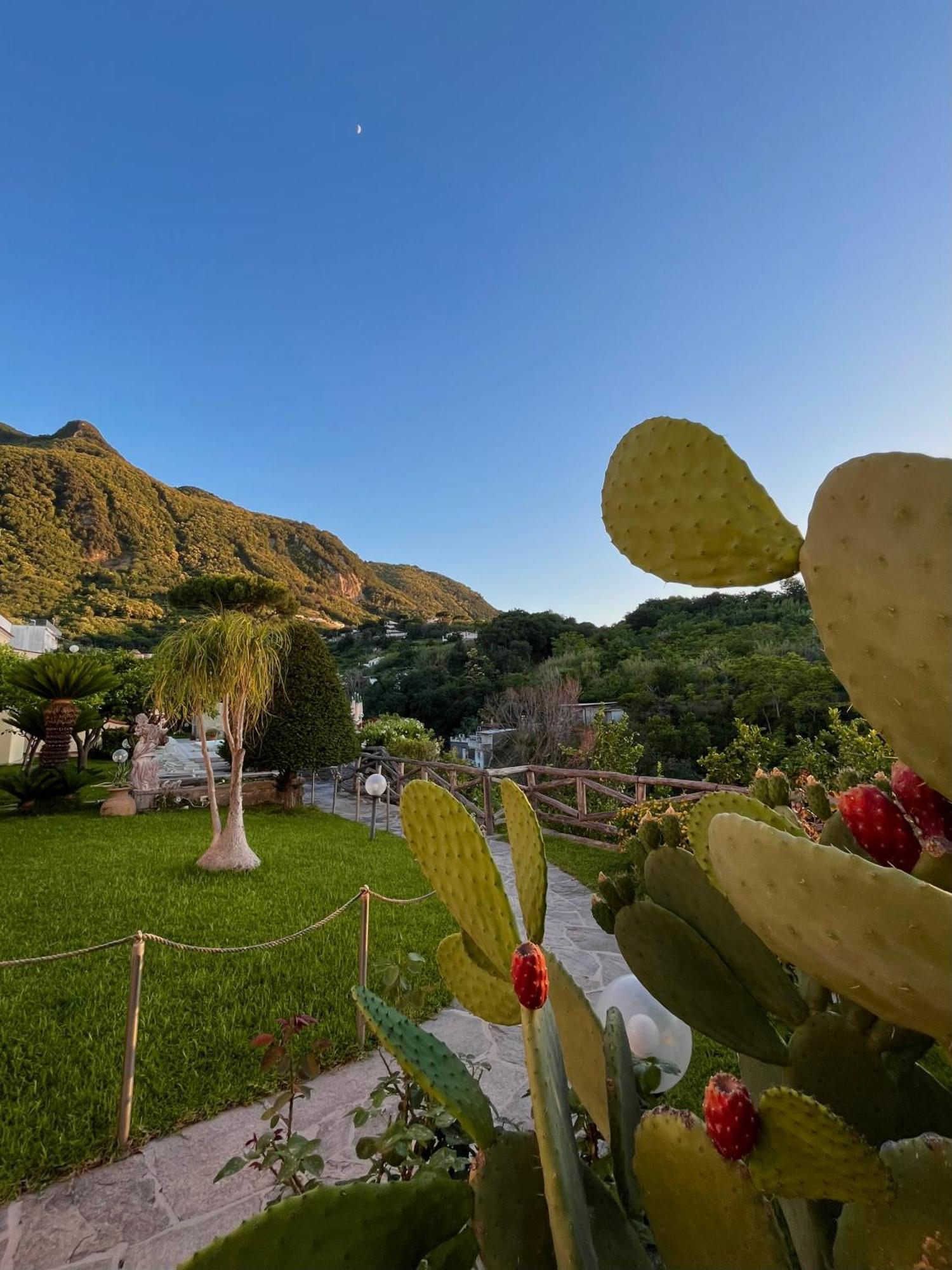 Resort Villa Flavio Casamicciola Terme Bagian luar foto