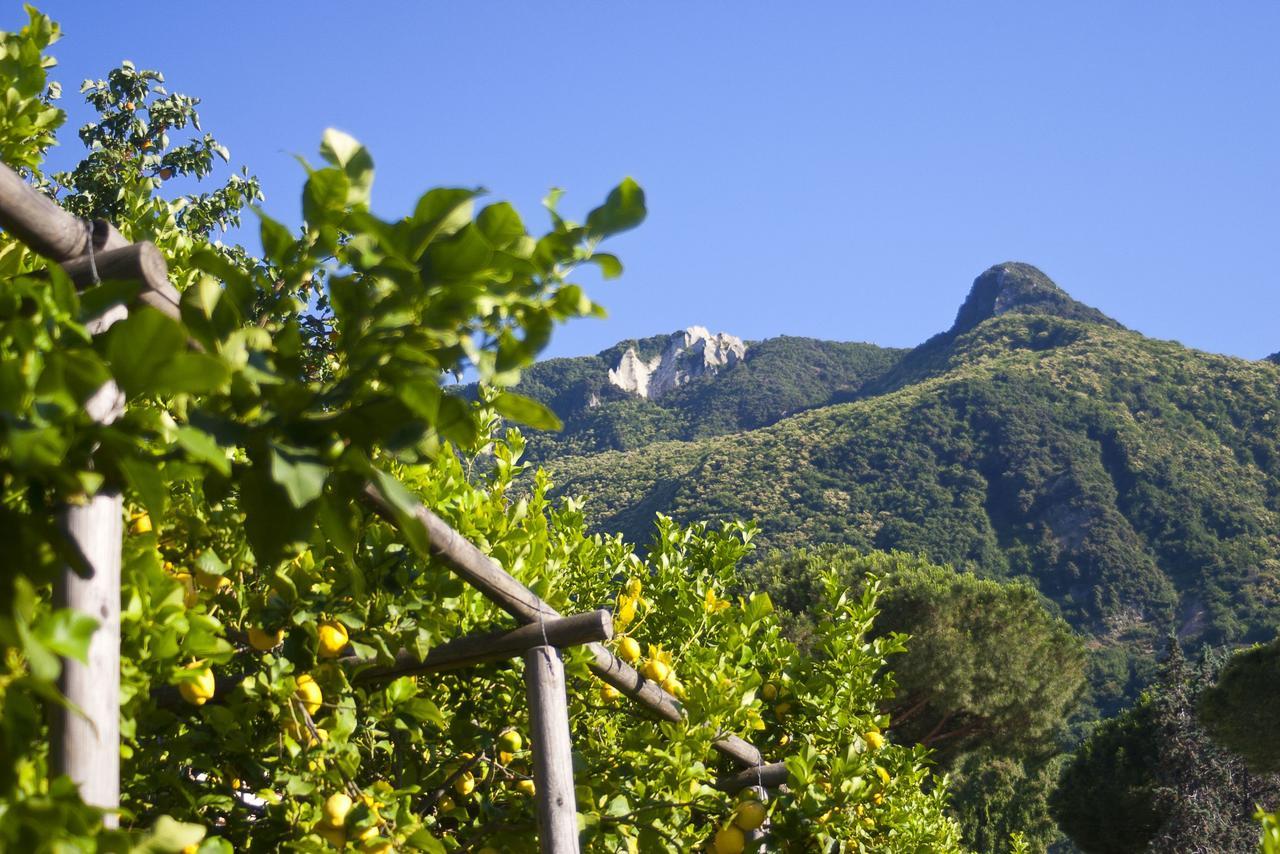 Resort Villa Flavio Casamicciola Terme Bagian luar foto