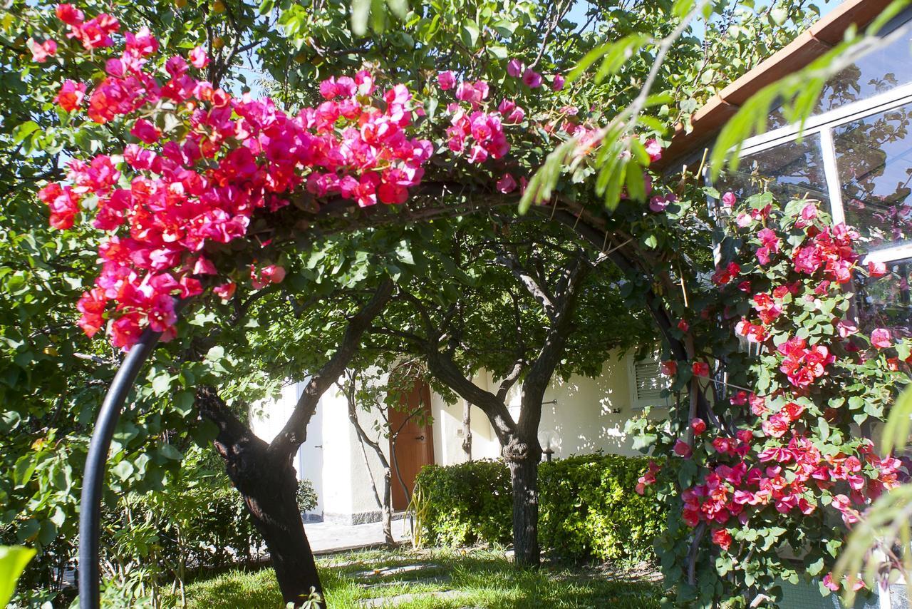Resort Villa Flavio Casamicciola Terme Bagian luar foto